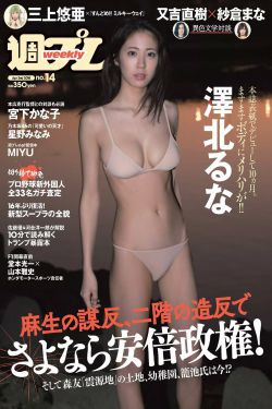 转生七王子的魔法