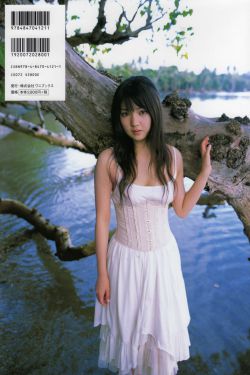 苏东坡